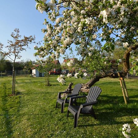 Holiday Home In Bergen Op Zoom With Garden Exterior foto